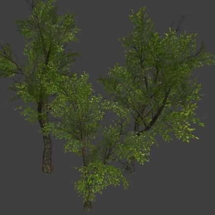 3 Low Poly Trees preview image